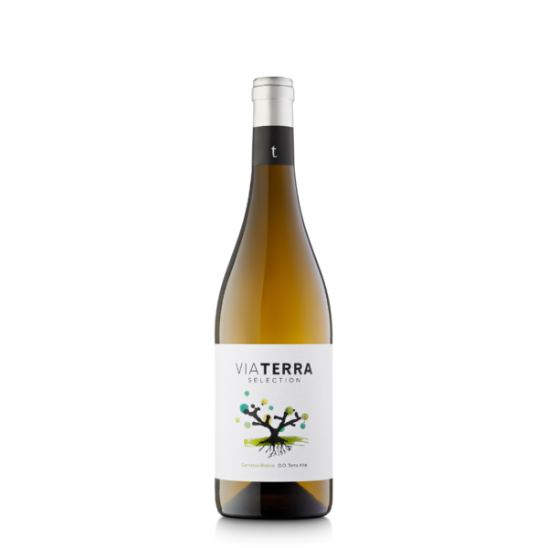 Terra Alta: Via Terra Edetària